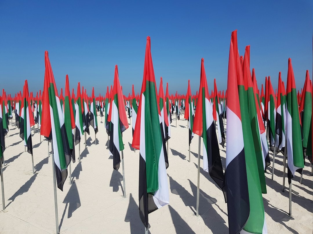 Many United Arab Emirates flags stand upright in a sandy field.