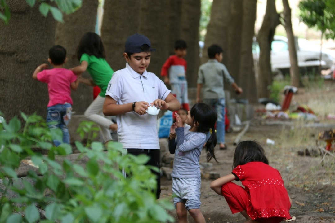 Children play together near large tree trunks in a park.